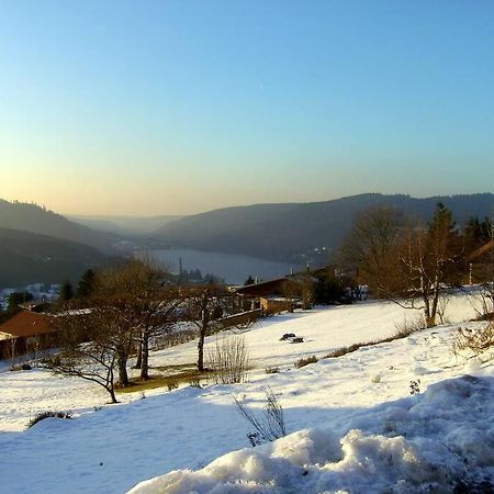 Gerardmer Centre - Studio Au Pied Du Lac Grande Terrasse Kültér fotó