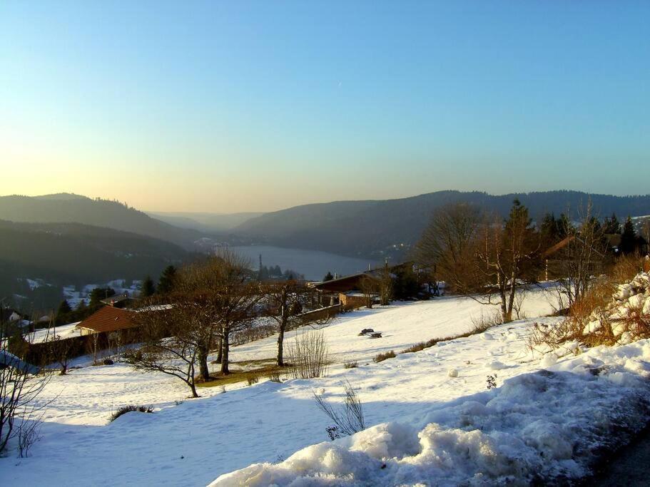 Gerardmer Centre - Studio Au Pied Du Lac Grande Terrasse Kültér fotó